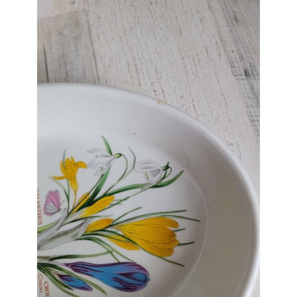 Portmeirion Botanic Gardens divided vegetable play Snow drop crocus - Picture 5 of 7